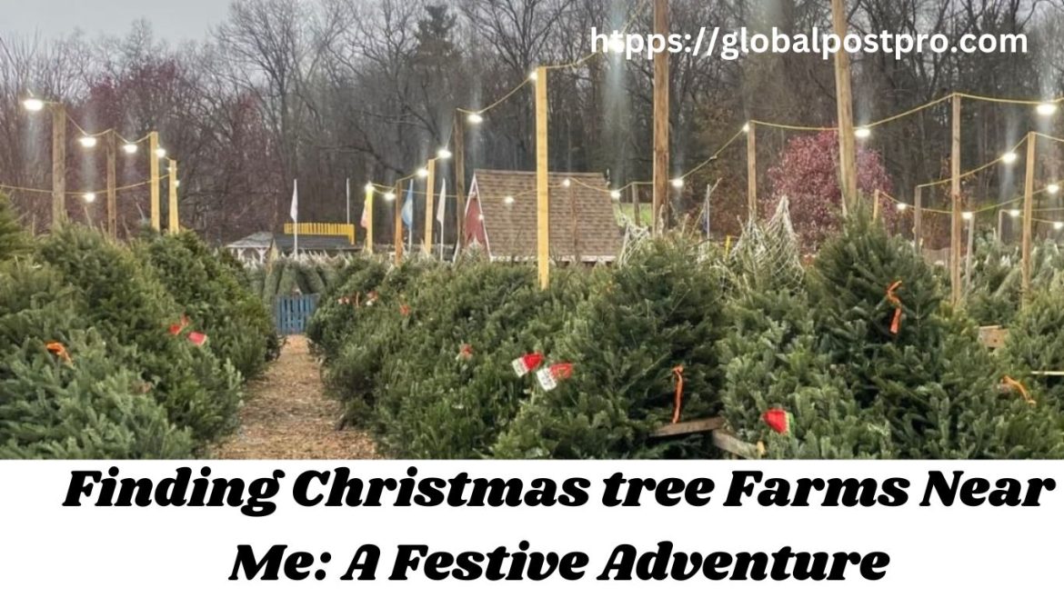 Finding Christmas tree Farms Near Me: A Festive Adventure 2023.
